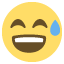 :sweat_smile: 😅